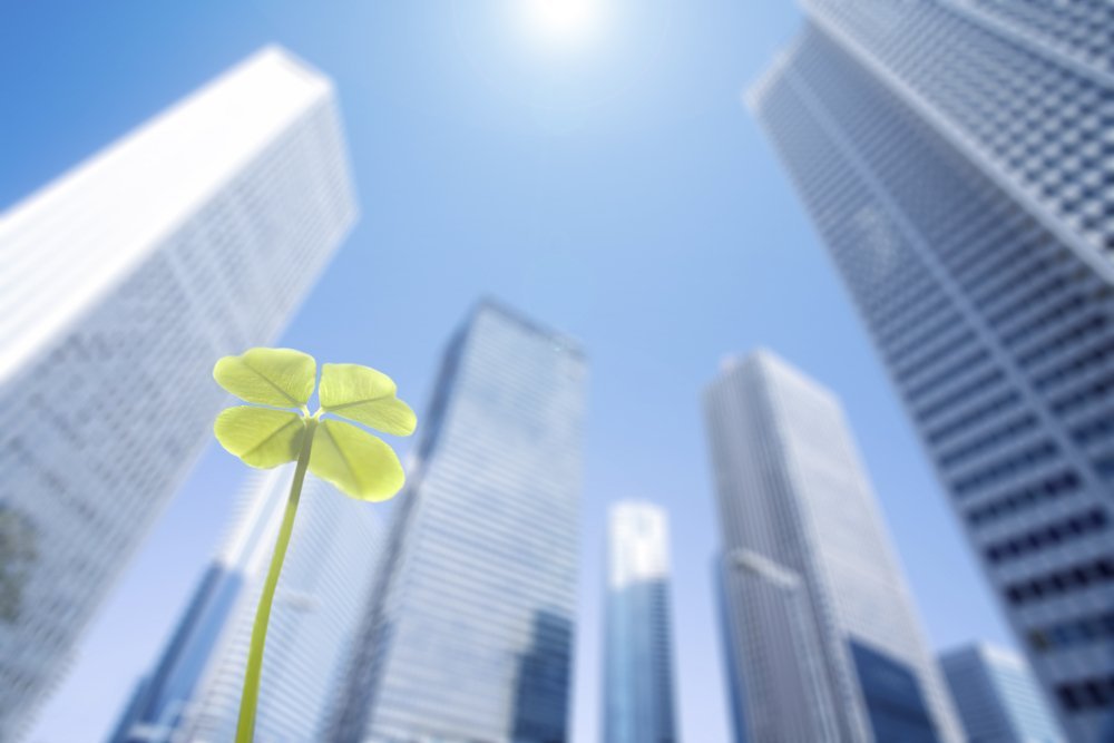 Clover growing by sunny buildings