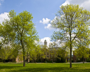 University of Maine campus